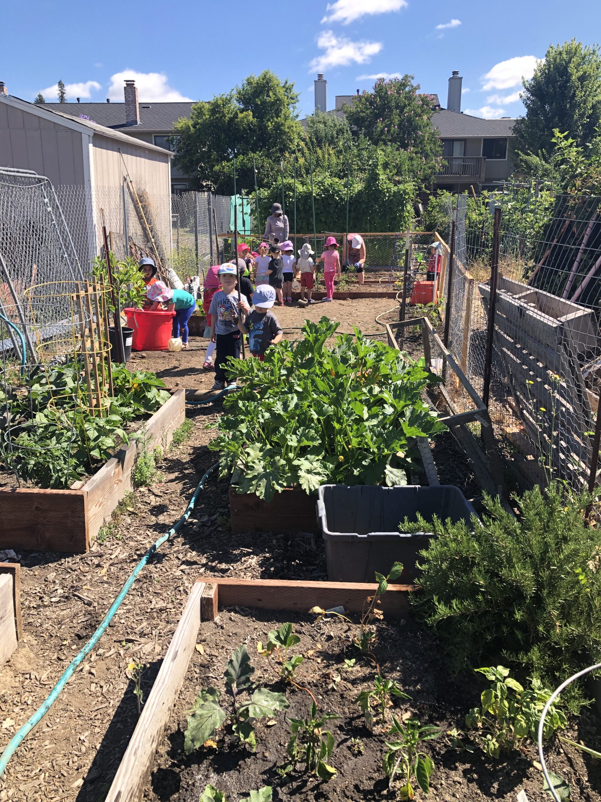 Community members working together in a sunny urban garden.